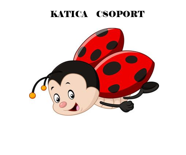 Katica csoport